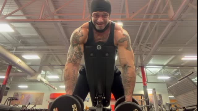 dumbbell curls on bench