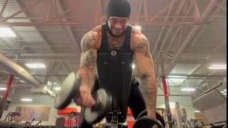 dumbbell curls on bench