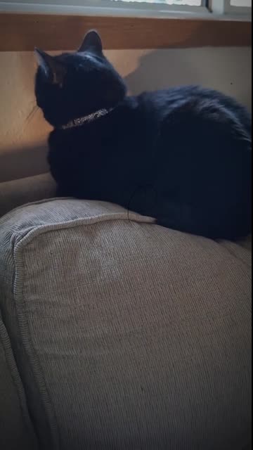 Introducing Sir E.B. Charles