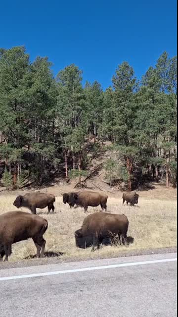 Look At The Little Baby!