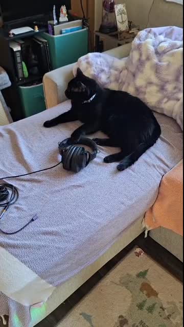 Charles Is Mad